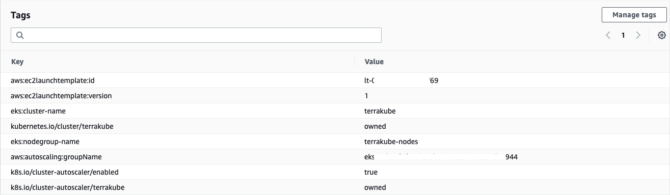 Nodegroup Instance Tags